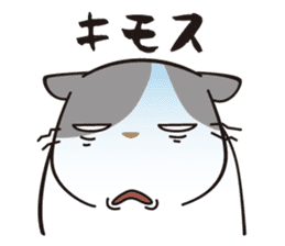 OBAKAWA cat C'eC 7 Let's play together sticker #10979497