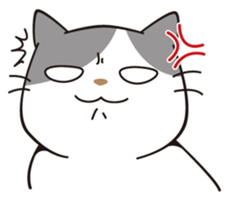 OBAKAWA cat C'eC 7 Let's play together sticker #10979509