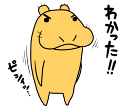 Hippo Popo sticker #10981483