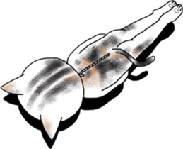 Cat Human! sticker #10981582