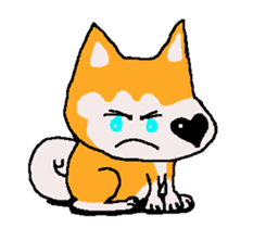 Shiba inu MOMO chan the third as well 18 sticker #10984033