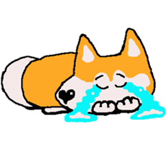 Shiba inu MOMO chan the third as well 18 sticker #10984034