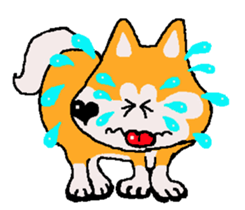 Shiba inu MOMO chan the third as well 18 sticker #10984035