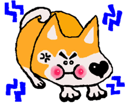 Shiba inu MOMO chan the third as well 18 sticker #10984037