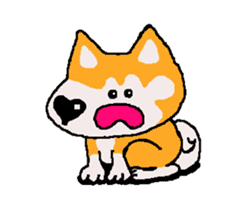 Shiba inu MOMO chan the third as well 18 sticker #10984040