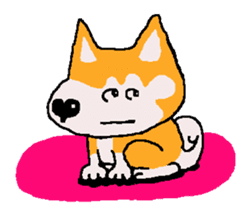 Shiba inu MOMO chan the third as well 18 sticker #10984042
