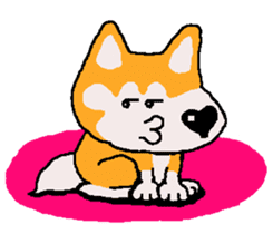 Shiba inu MOMO chan the third as well 18 sticker #10984043