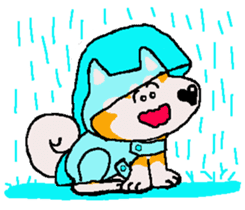 Shiba inu MOMO chan the third as well 18 sticker #10984054