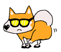 Shiba inu MOMO chan the third as well 18 sticker #10984060