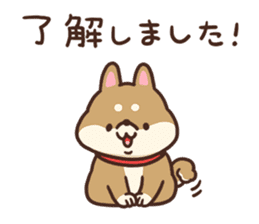 Cute Shiba Inu Malo sticker #10985344