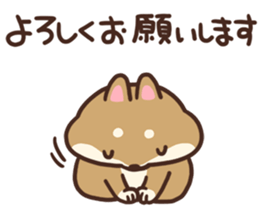 Cute Shiba Inu Malo sticker #10985349