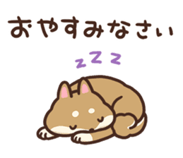 Cute Shiba Inu Malo sticker #10985355