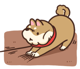 Cute Shiba Inu Malo sticker #10985356