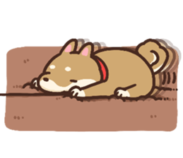 Cute Shiba Inu Malo sticker #10985357
