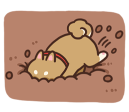 Cute Shiba Inu Malo sticker #10985362