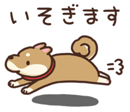 Cute Shiba Inu Malo sticker #10985365