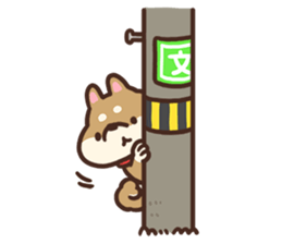 Cute Shiba Inu Malo sticker #10985366