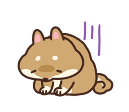 Cute Shiba Inu Malo sticker #10985367