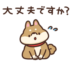 Cute Shiba Inu Malo sticker #10985376
