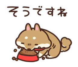 Cute Shiba Inu Malo sticker #10985379