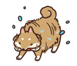 Cute Shiba Inu Malo sticker #10985380