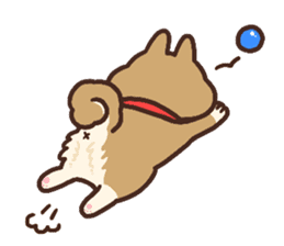 Cute Shiba Inu Malo sticker #10985382