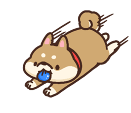 Cute Shiba Inu Malo sticker #10985383