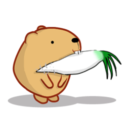 Kyapibara 8 sticker #10985596