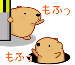 Kyapibara 8 sticker #10985604