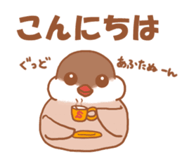 Lady cinnamon java sparrow Cinnamonchan sticker #10989265