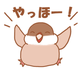 Lady  cinnamon java sparrow Cinnamonchan sticker #10989266