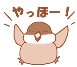 Lady cinnamon java sparrow Cinnamonchan sticker #10989266