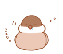 Lady cinnamon java sparrow Cinnamonchan sticker #10989270