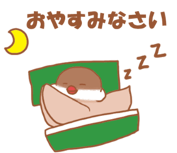 Lady  cinnamon java sparrow Cinnamonchan sticker #10989271