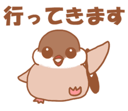 Lady cinnamon java sparrow Cinnamonchan sticker #10989272
