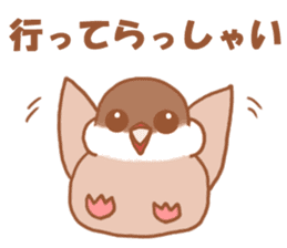 Lady cinnamon java sparrow Cinnamonchan sticker #10989273