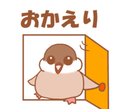 Lady cinnamon java sparrow Cinnamonchan sticker #10989275
