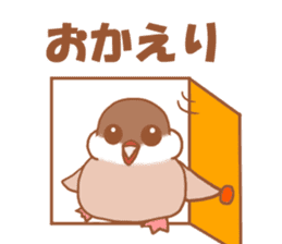 Lady  cinnamon java sparrow Cinnamonchan sticker #10989275