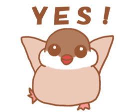 Lady cinnamon java sparrow Cinnamonchan sticker #10989277