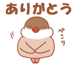 Lady cinnamon java sparrow Cinnamonchan sticker #10989279