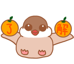 Lady  cinnamon java sparrow Cinnamonchan sticker #10989280