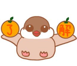 Lady cinnamon java sparrow Cinnamonchan sticker #10989280