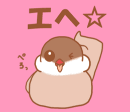 Lady cinnamon java sparrow Cinnamonchan sticker #10989282