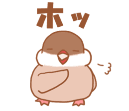 Lady cinnamon java sparrow Cinnamonchan sticker #10989286