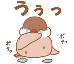 Lady cinnamon java sparrow Cinnamonchan sticker #10989287