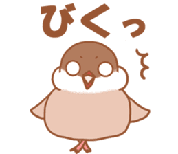 Lady cinnamon java sparrow Cinnamonchan sticker #10989289