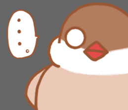 Lady cinnamon java sparrow Cinnamonchan sticker #10989290