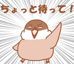 Lady cinnamon java sparrow Cinnamonchan sticker #10989292