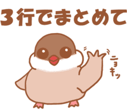 Lady cinnamon java sparrow Cinnamonchan sticker #10989294