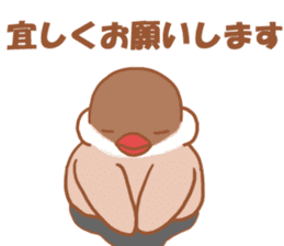 Lady cinnamon java sparrow Cinnamonchan sticker #10989295